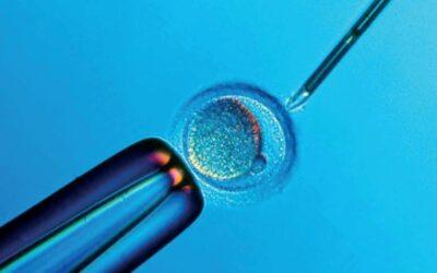 [:vi]Nguy cơ khi thụ tinh trong ống nghiệm[:]