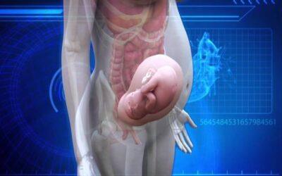 [:vi]Ưu – nhược điểm của một số phương pháp hỗ trợ sinh sản hiện đại[:]