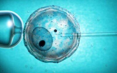 [:vi]Quy trình làm thụ tinh trong ống nghiệm ( IVF )[:]