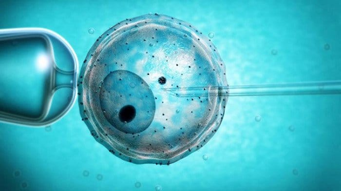 [:vi]Quy trình làm thụ tinh trong ống nghiệm ( IVF )[:]