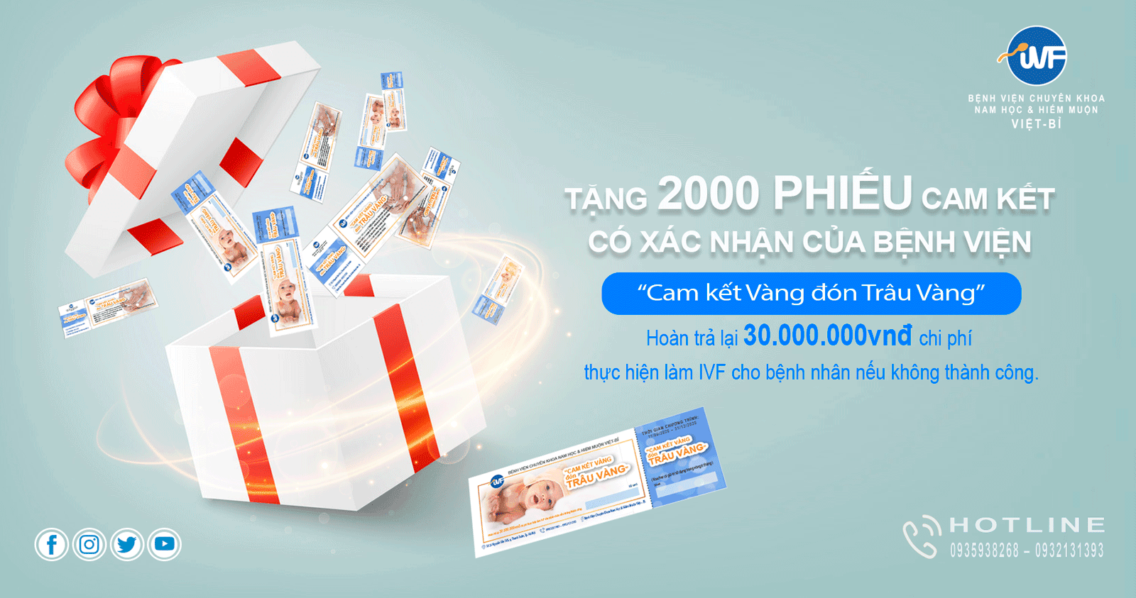 CAM KẾT VÀNG – ĐÓN TRÂU VÀNG