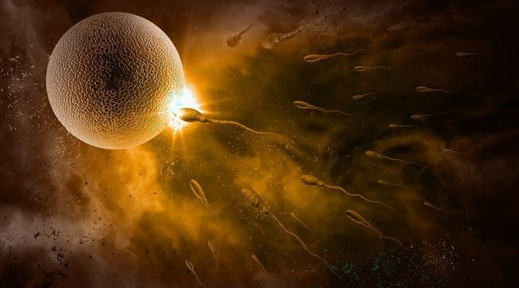 10 CÂU HỎI CỦA NAM GIỚI VỀ VÔ SINH NAM