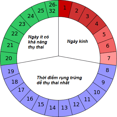 CÁCH TÍNH THỜI ĐIỂM QUAN HỆ DỄ ĐẬU THAI