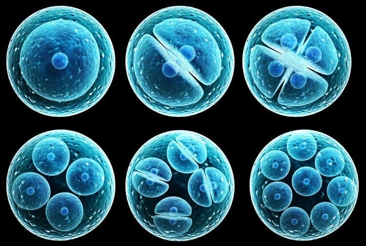 MỘT SỐ CÂU HỎI LIÊN QUAN TỚI PHÔI NGÀY 3, PHÔI NGÀY 5 – THỤ TINH TRONG ỐNG NGHIỆM (IVF)