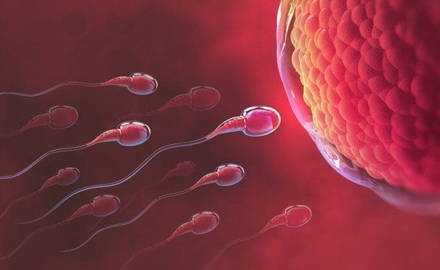 TINH TRÙNG NAM GIỚI THẾ NÀO LÀ KHỎE MẠNH ?