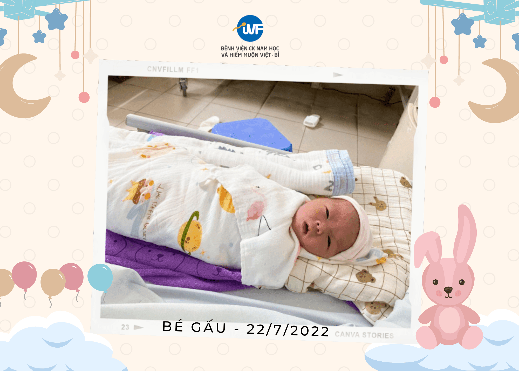 IVF VIỆT – BỈ CHÀO ĐÓN EM BÉ HỔ VÀNG
