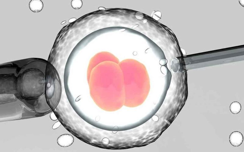 Tìm hiểu phương pháp điều trị vô sinh khả quan nhất hiện nay