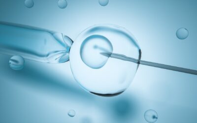 Ý nghĩa nuôi cấy phôi và quy trình thực hiện tại IVF Việt – Bỉ