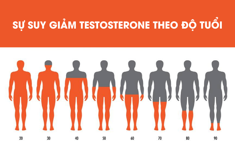 SAI LẦM TRONG ĐIỀU TRỊ YẾU SINH LÝ