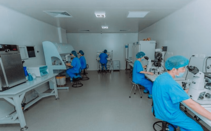 Yếu tố nào ảnh hưởng đến tỷ lệ thành công IVF đạt kết quả cao