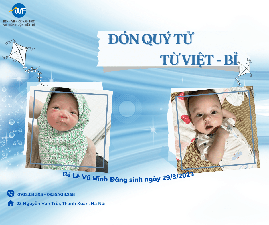 ĐÓN QUÝ TỬ TỪ IVF VIỆT – BỈ