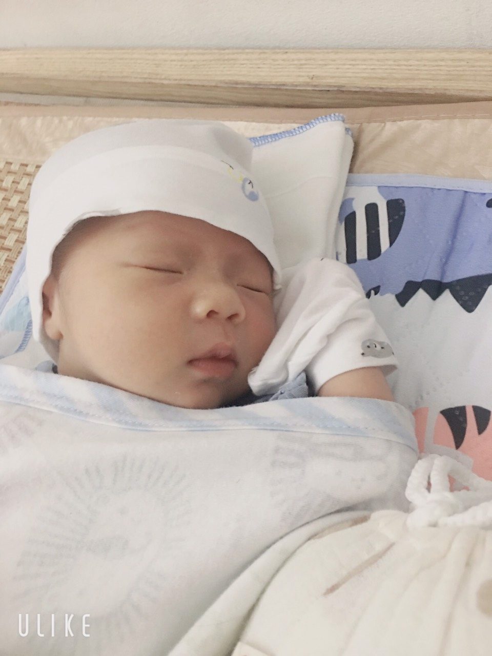 ĐÓN CON NHƯ Ý CÙNG CAM KẾT VÀNG TẠI VIỆT – BỈ
