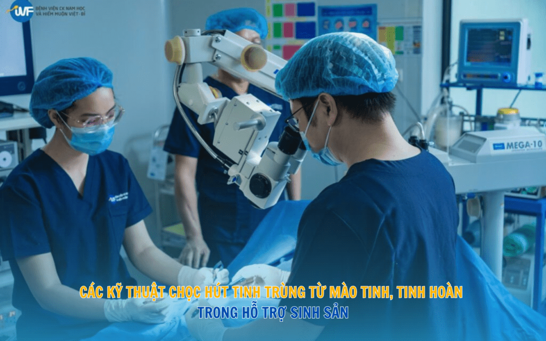 CÁC KỸ THUẬT CHỌC HÚT TINH TRÙNG TỪ MÀO TINH, TINH HOÀN TRONG HỖ TRỢ SINH SẢN