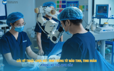 CÁC KỸ THUẬT CHỌC HÚT TINH TRÙNG TỪ MÀO TINH, TINH HOÀN TRONG HỖ TRỢ SINH SẢN