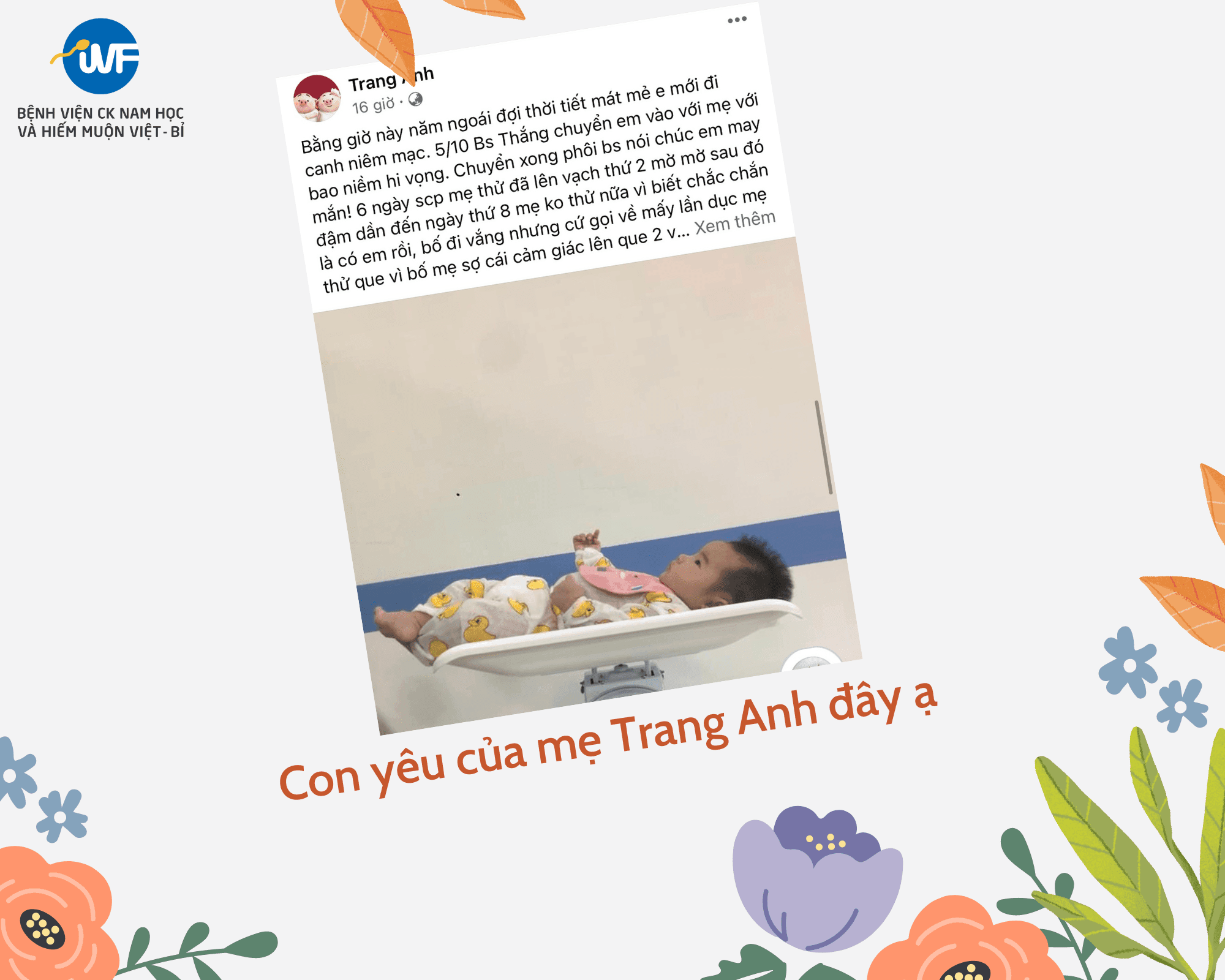 VIỆT BỈ & HÀNH TRÌNH KIẾM CON YÊU