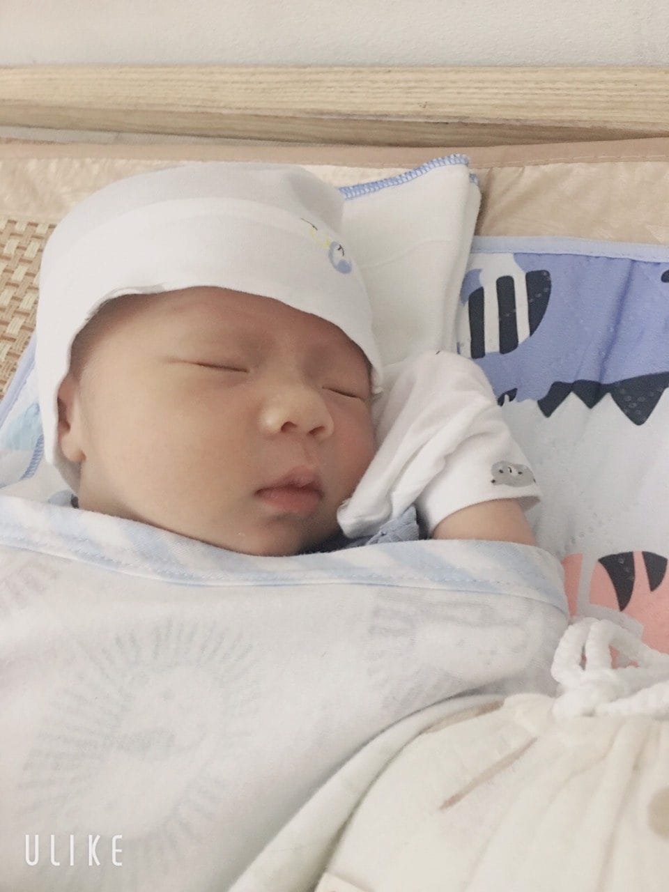 ĐÓN CON NHƯ Ý CÙNG CAM KẾT VÀNG TẠI VIỆT – BỈ