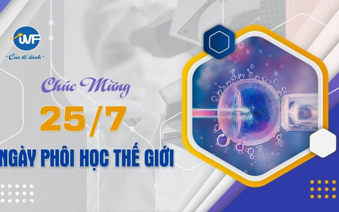 CHUYÊN VIÊN PHÔI HỌC – LINH HỒN CỦA LABO BỆNH VIỆN HIẾM MUỘN