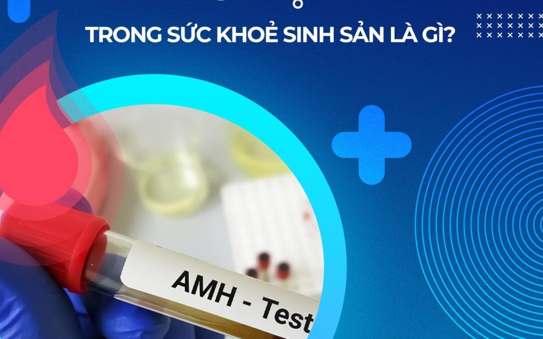 AMH LÀ GÌ VÀ KHI NÀO NÊN XÉT NGHIỆM AMH?