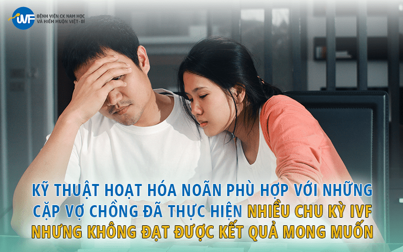 Hình ảnh này chưa có thuộc tính alt; tên tệp của nó là Hoat-Hoa-Noan-2.png