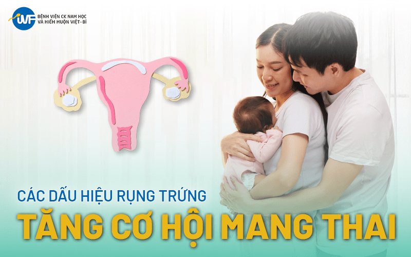 CÁC DẤU HIỆU RỤNG TRỨNG TĂNG CƠ HỘI MANG THAI