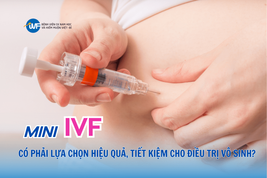 MINI IVF – CÓ PHẢI LỰA CHỌN HIỆU QUẢ, TIẾT KIỆM CHO ĐIỀU TRỊ VÔ SINH?