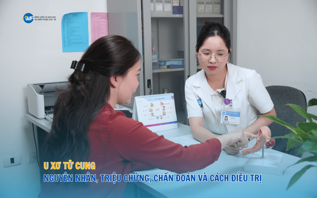 U XƠ TỬ CUNG: NGUYÊN  NHÂN, TRIỆU CHỨNG, CHẨN ĐOÁN VÀ CÁCH ĐIỀU TRỊ