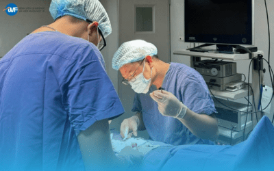 BỚT NẶNG GÁNH TIỀN BẠC SAU TRIỆT SẢN