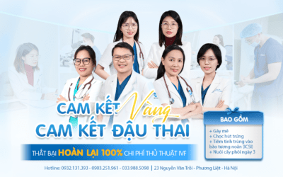 Chương Trình Cam Kết Vàng 2026: Hoàn Tiền 100% Nếu Không Đậu Thai
